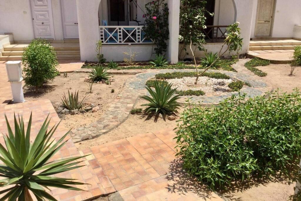 Beyt Alzohour - Casa Dei Fiori Appartement Dahab Buitenkant foto